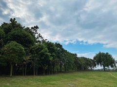 -两河城市森林公园