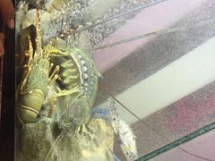 -Wang Sai Seafood