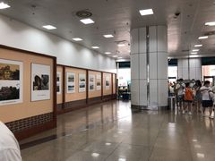-厦门邮轮中心厦鼓码头(轮渡站)