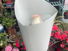 -FEI FEI FLOWER鲜花店·气球派对·宝宝宴布置(虹口德必运动Loft店)