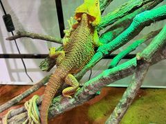 -上海昆虫博物馆