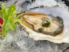 -Hatsune隐泉日式料理(三里屯太古里店)