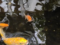 -上海昆虫博物馆