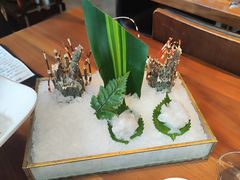 -Mr.Fish鱼鲜生海鲜放题(高德置地冬广场店)