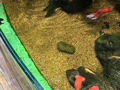 -太平洋海底世界