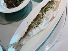 -西湖春天•老字号杭州菜(百汇店)