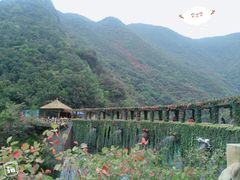 -郧西五龙河风景区