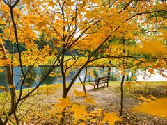 -上海共青森林公园