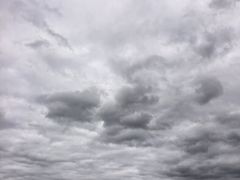 -呼兰河口湿地公园