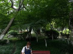-沙市市中山公园
