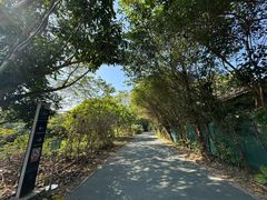 -华侨城湿地公园