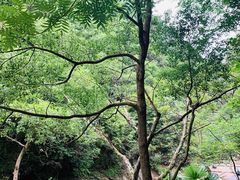 -宁波五龙潭景区