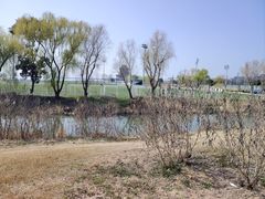 -品鲜村农家菜·阳澄湖大闸蟹(总店)