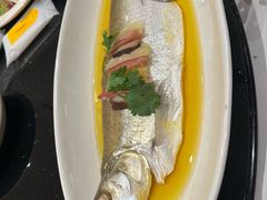 -上海1号私藏菜(黄浦店)