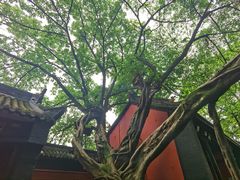 -成都武侯祠博物馆