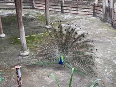 -柳州市动物园