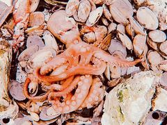 大锅海鲜-九层海鲜塔(市南店)