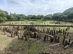 -河姆渡遗址博物馆