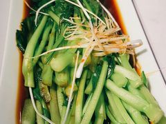鲮鱼油麦菜-听香·678茶铺(猛追湾店)