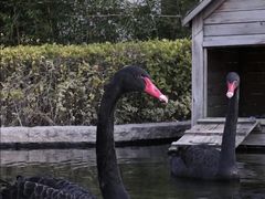 -行者书屋大堂吧 ·下午茶(南京圣和府邸酒店)