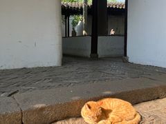-西园戒幢律寺