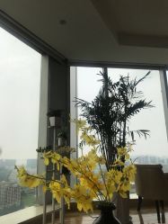 -久匠半永久纹眉