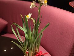 -厦门艾美酒店·乐美中餐厅