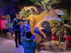 -恐龙探索乐园(磁器口店)