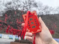 -句容茅山景区