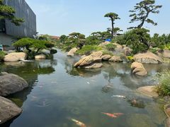 -罗红摄影艺术馆