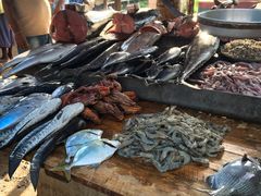 -尼甘布海鲜市场