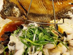 大罗非鱼二食-朱仔记食府(江南大道店)