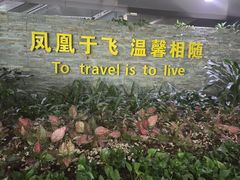 -盐禾堂海南屯昌香草鸭(总店)