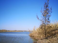 -宁波杭州湾国家湿地公园