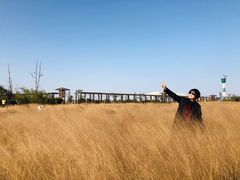-小洋口旅游度假区