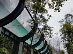 -花水湾第一村温泉大酒店