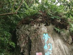 -呀诺达热带雨林