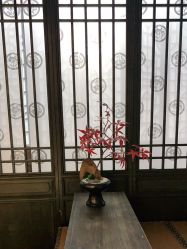 -盘子女人坊生日照·摄影馆(浦东店)