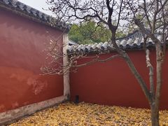 -泰山风景名胜区-普照寺