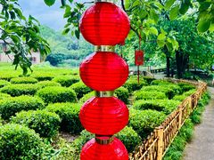 -中国茶叶博物馆(双峰馆区)