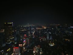 -南京金陵饭店