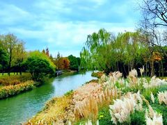 -贡湖湾湿地公园