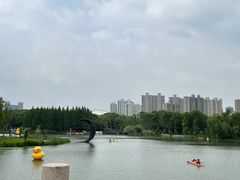 -昆山城市生态森林公园