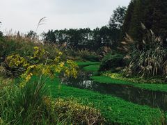 -桤木河湿地公园