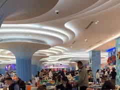 -帝企鹅自助餐厅•儿童岛•真企鹅(长隆企鹅酒店)