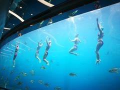 -瑞德姆美人鱼海底演艺主题餐厅(亚龙湾店)