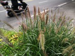 -成都市活水公园