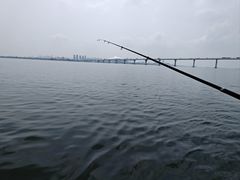 -鑫艋游艇海钓俱乐部