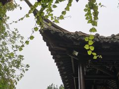 -梅园