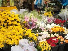 -曲阳花鸟市场(曲阳路店)